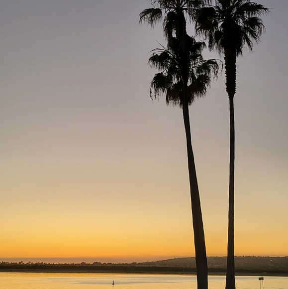 Meet your Posher, John - Picture 1 of 1